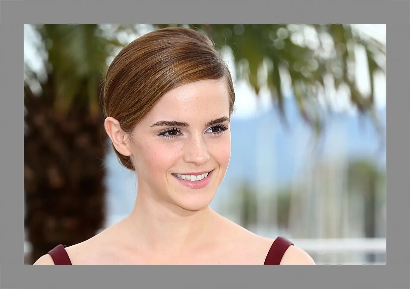 Картина в раме - Эмма Уотсон. Emma Watson