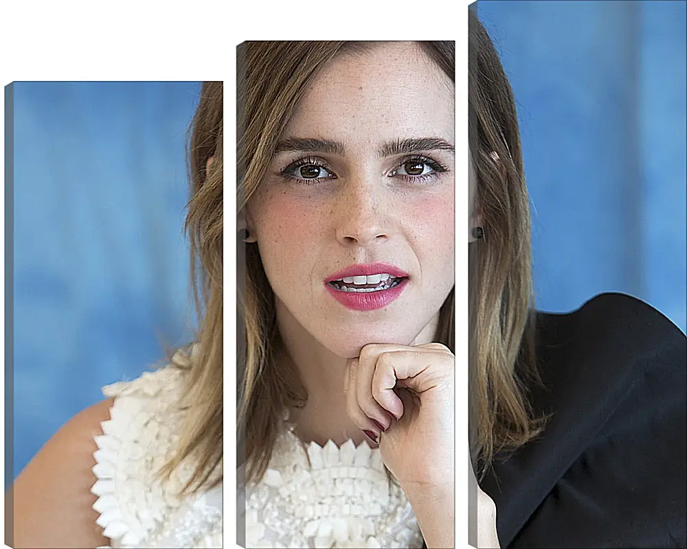 Модульная картина - Эмма Уотсон. Emma Watson