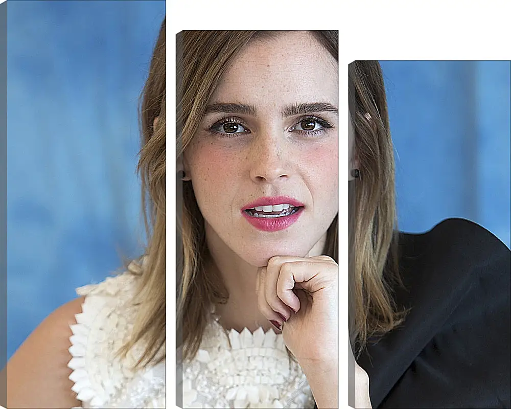 Модульная картина - Эмма Уотсон. Emma Watson