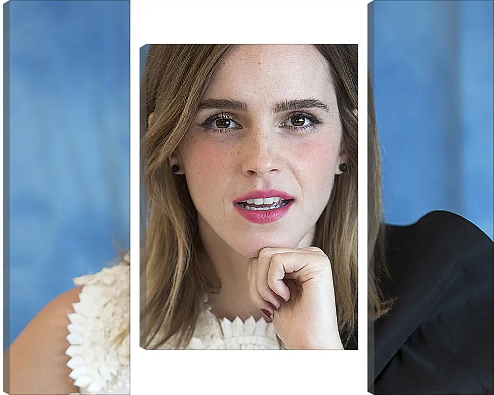 Модульная картина - Эмма Уотсон. Emma Watson