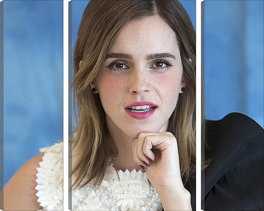 Модульная картина - Эмма Уотсон. Emma Watson