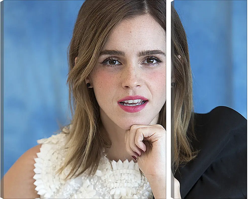 Модульная картина - Эмма Уотсон. Emma Watson