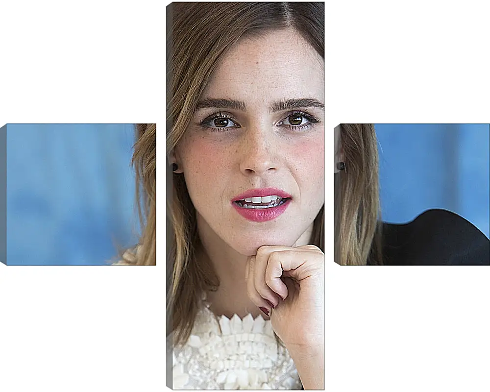 Модульная картина - Эмма Уотсон. Emma Watson