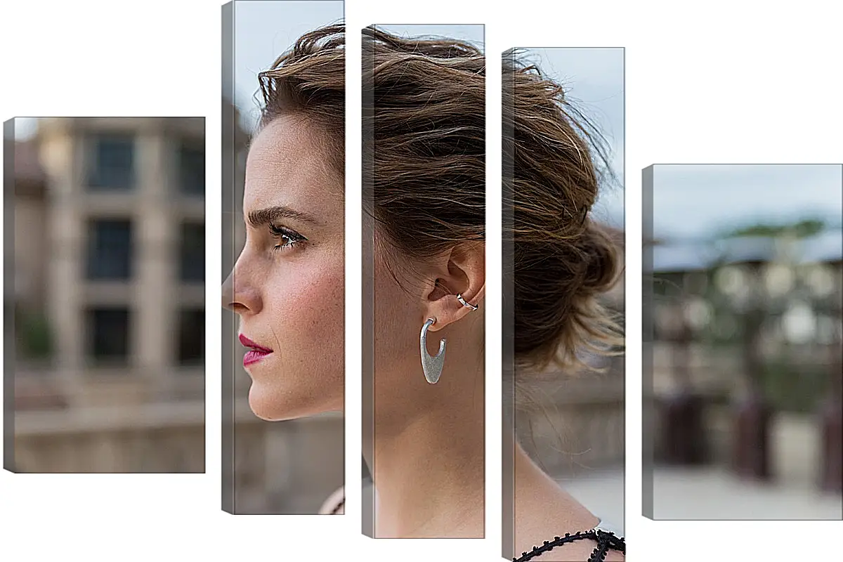 Модульная картина - Эмма Уотсон. Emma Watson