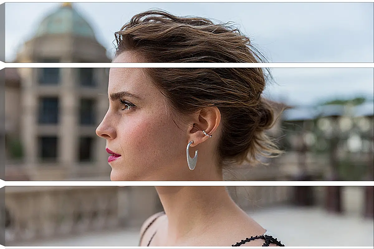 Модульная картина - Эмма Уотсон. Emma Watson