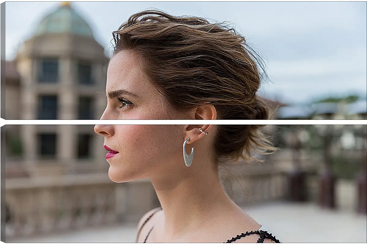 Модульная картина - Эмма Уотсон. Emma Watson