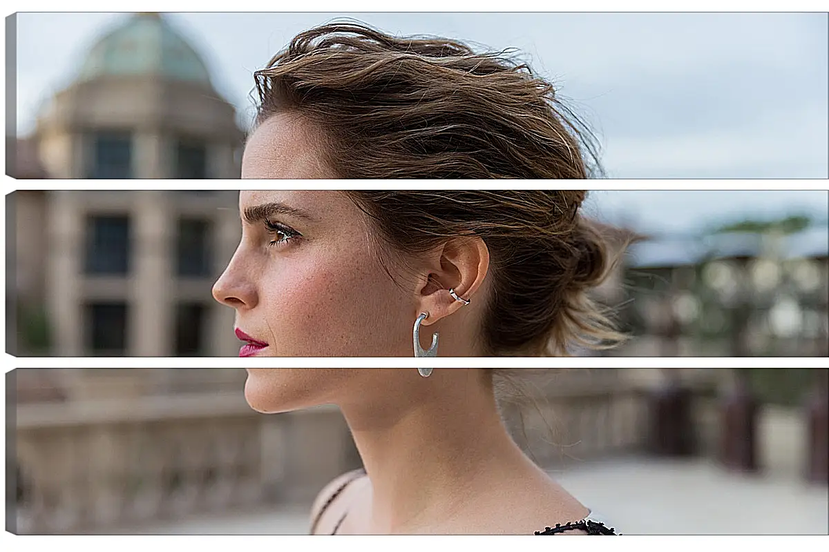 Модульная картина - Эмма Уотсон. Emma Watson