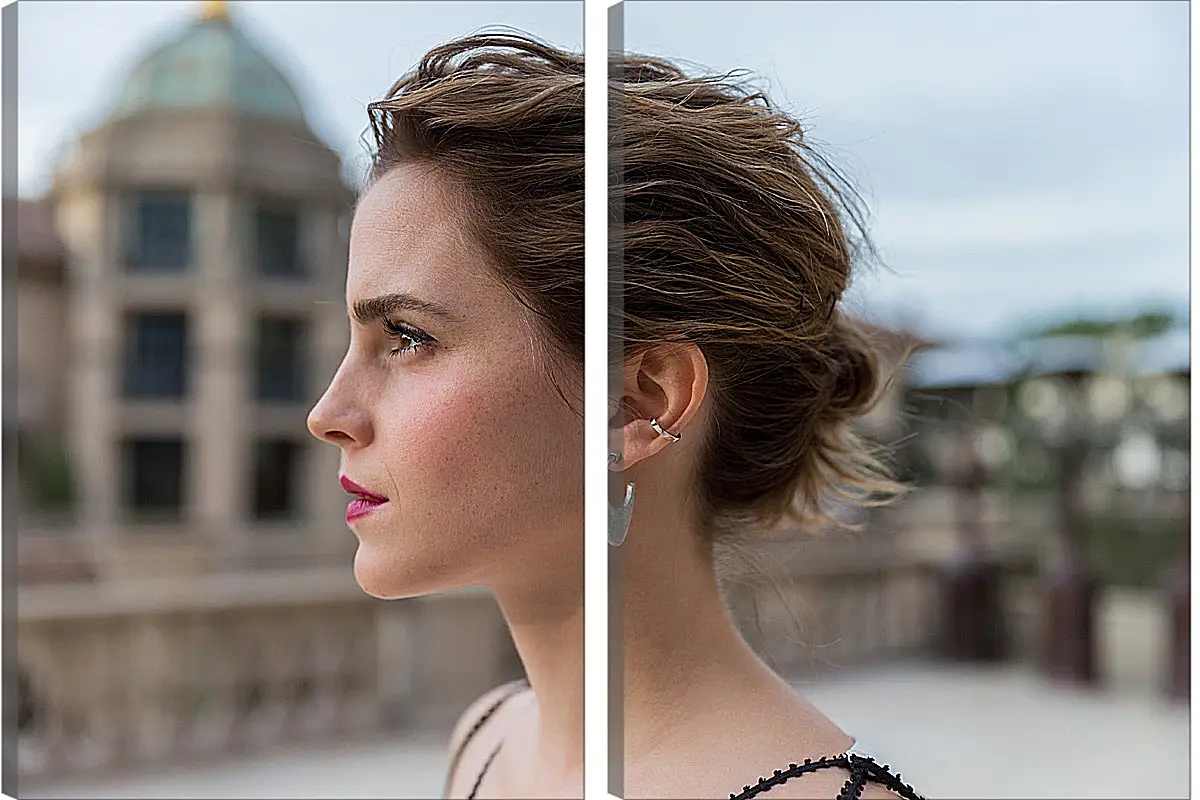 Модульная картина - Эмма Уотсон. Emma Watson