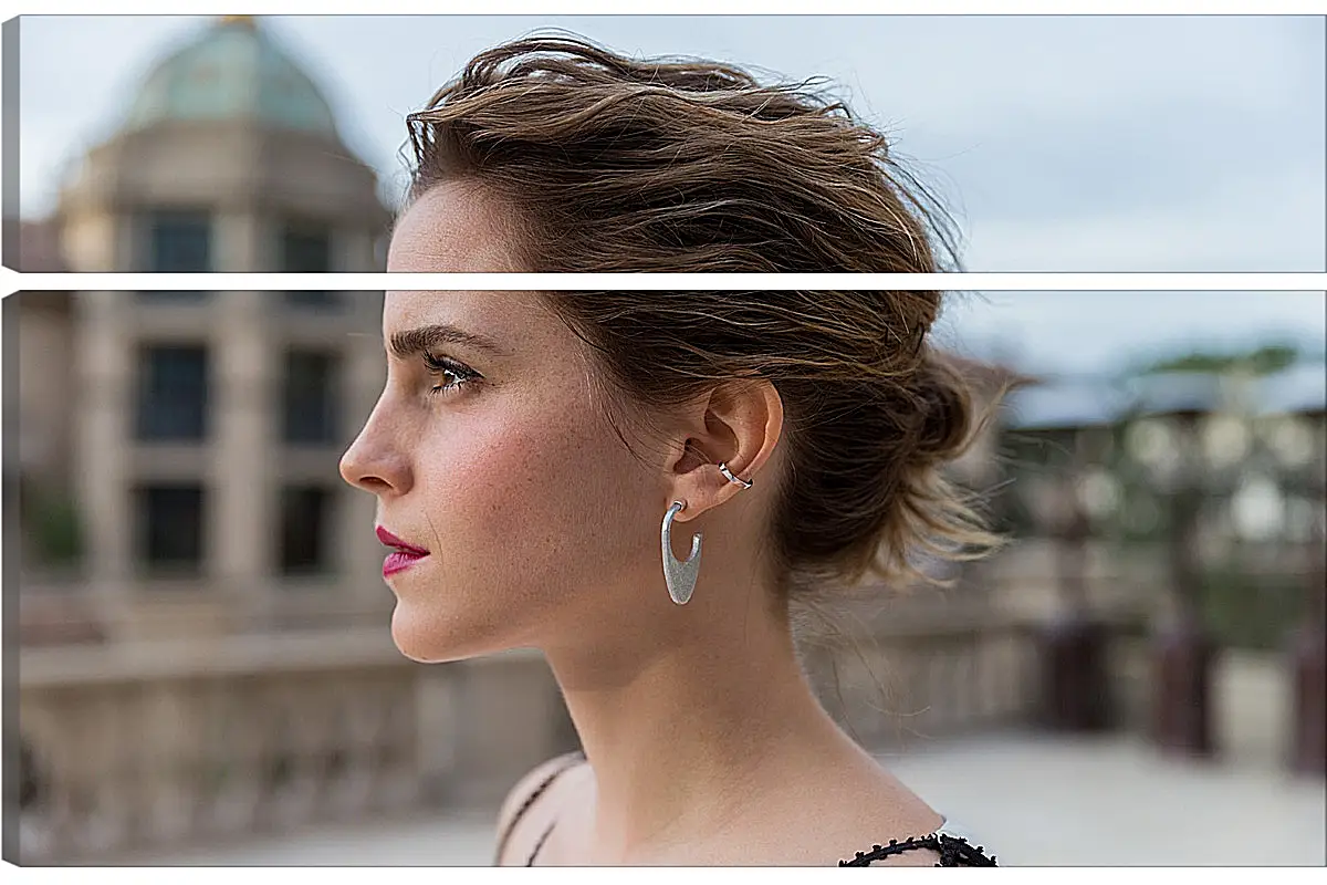 Модульная картина - Эмма Уотсон. Emma Watson