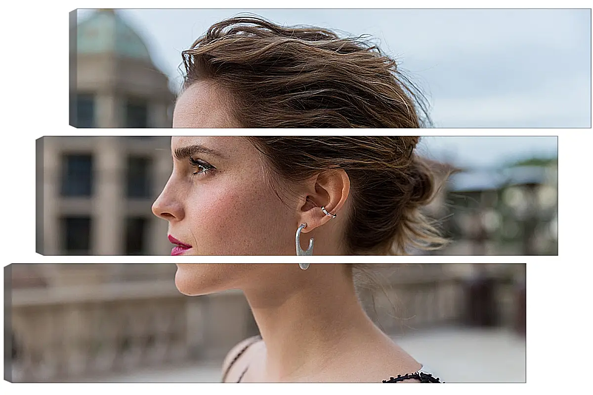 Модульная картина - Эмма Уотсон. Emma Watson