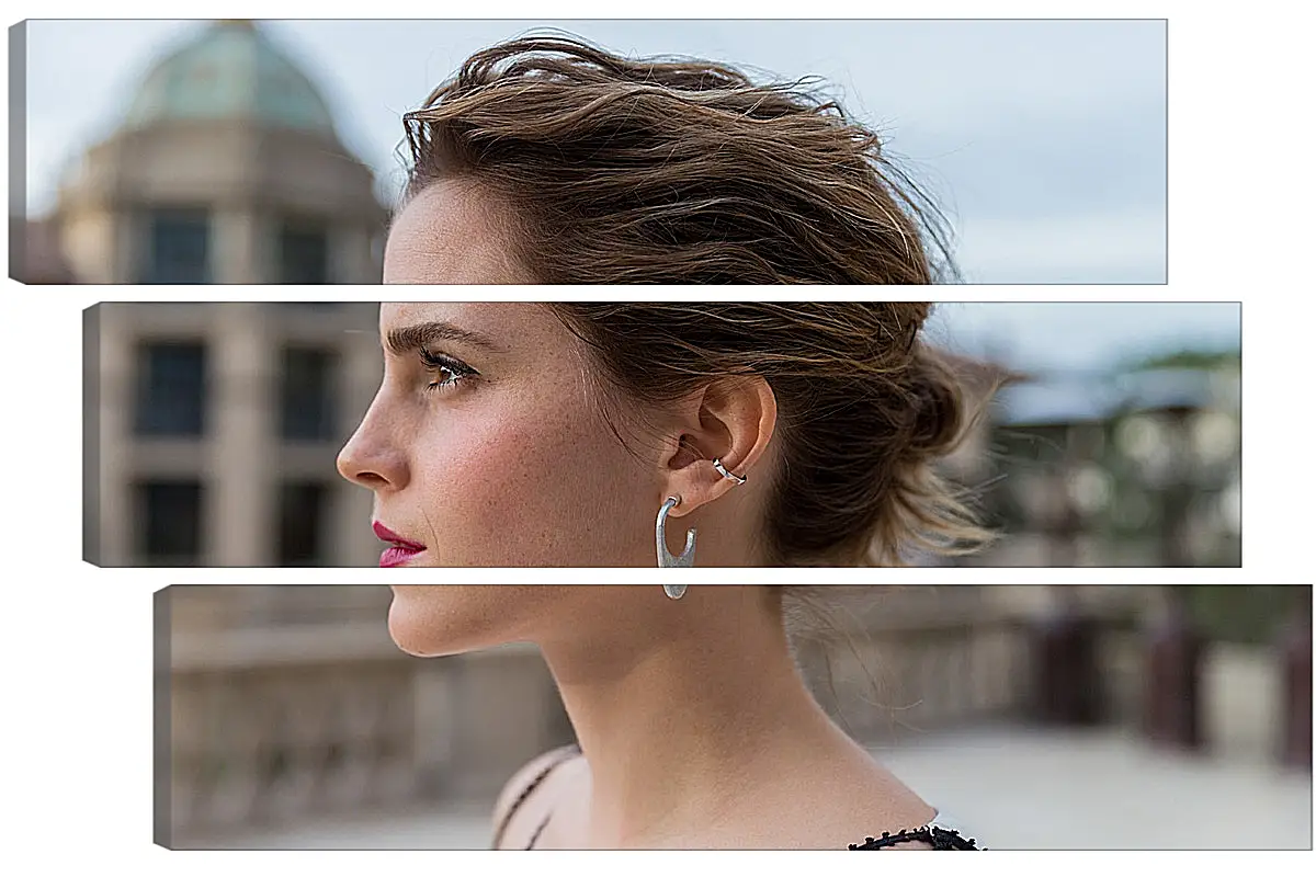 Модульная картина - Эмма Уотсон. Emma Watson