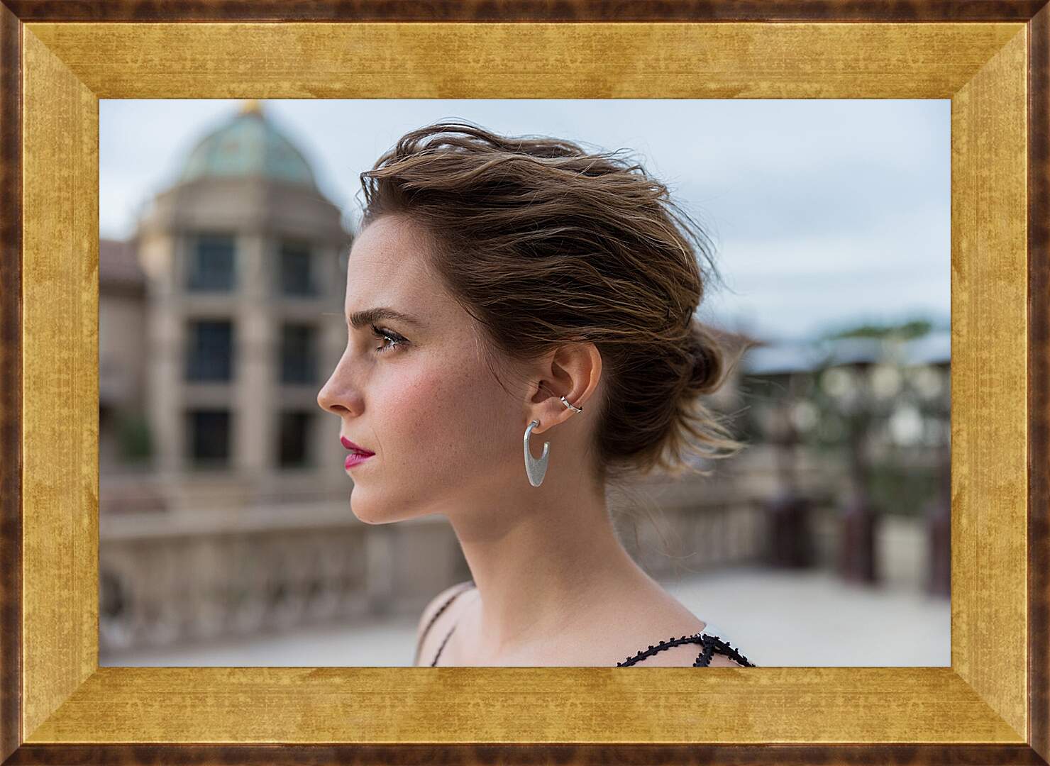 Картина в раме - Эмма Уотсон. Emma Watson
