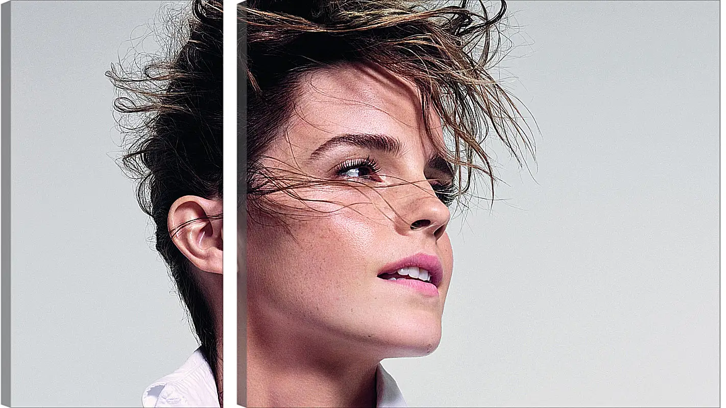 Модульная картина - Эмма Уотсон. Emma Watson