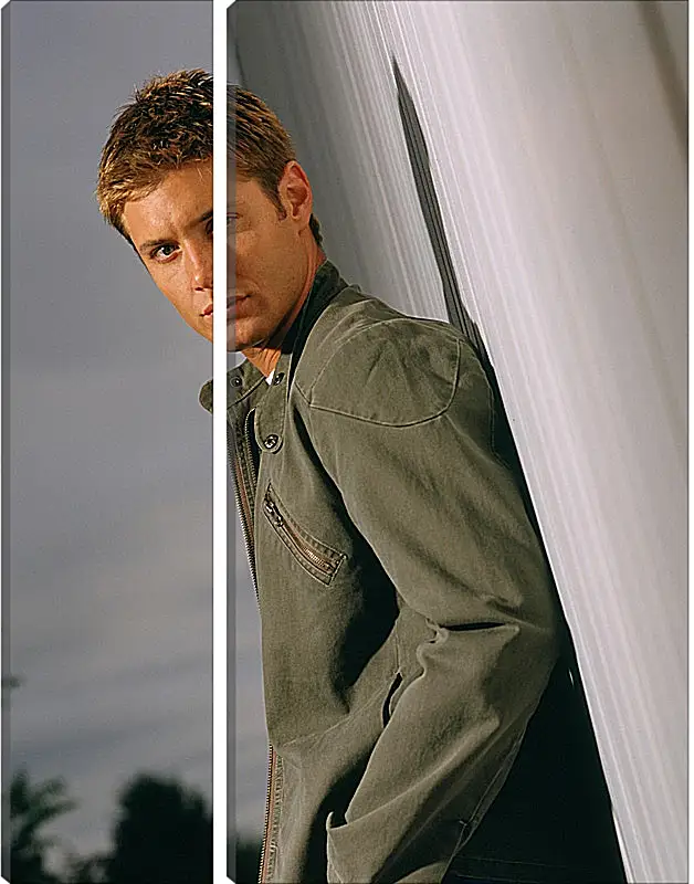 Модульная картина - Дженсен Эклс. Jensen Ackles