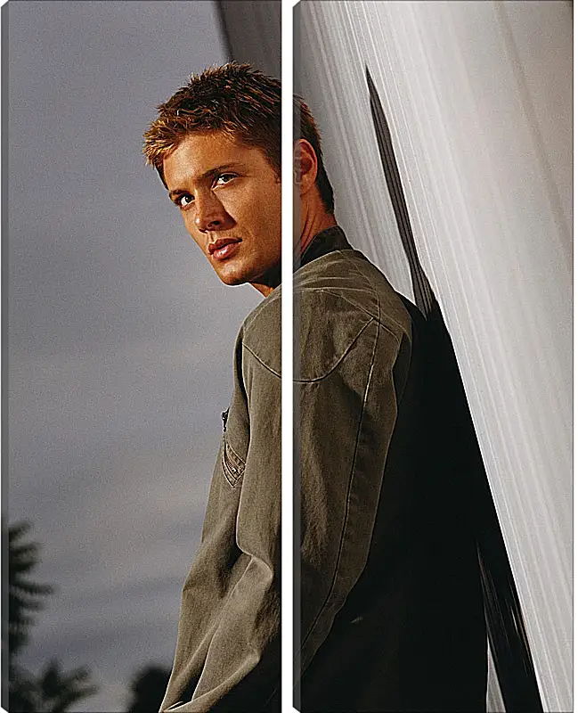 Модульная картина - Дженсен Эклс. Jensen Ackles
