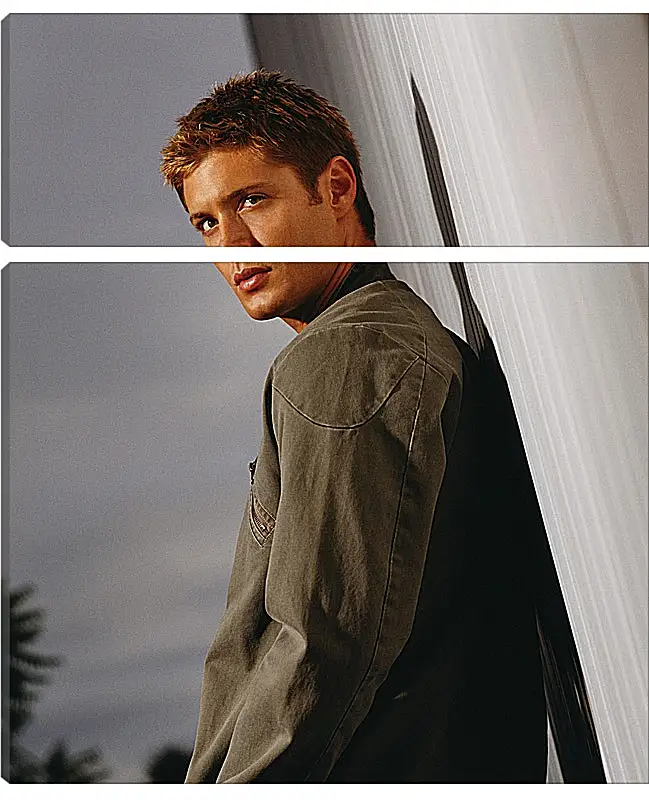 Модульная картина - Дженсен Эклс. Jensen Ackles