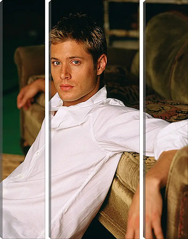 Модульная картина - Дженсен Эклс. Jensen Ackles