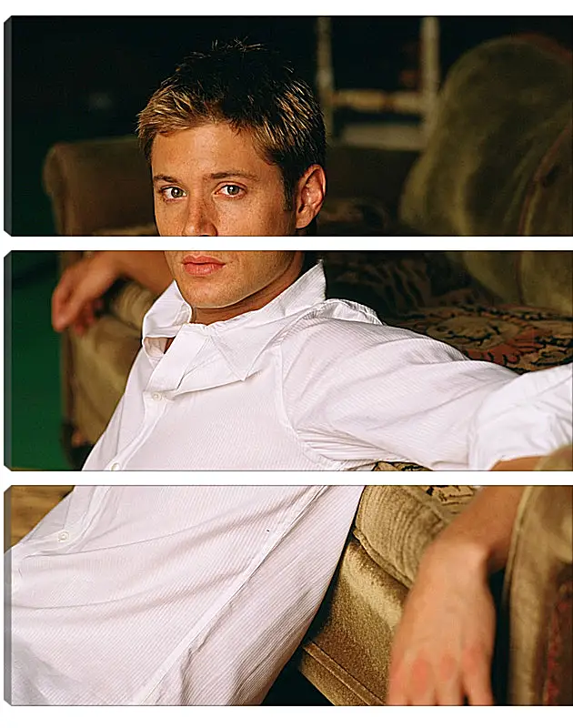 Модульная картина - Дженсен Эклс. Jensen Ackles