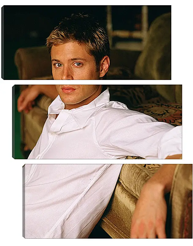 Модульная картина - Дженсен Эклс. Jensen Ackles