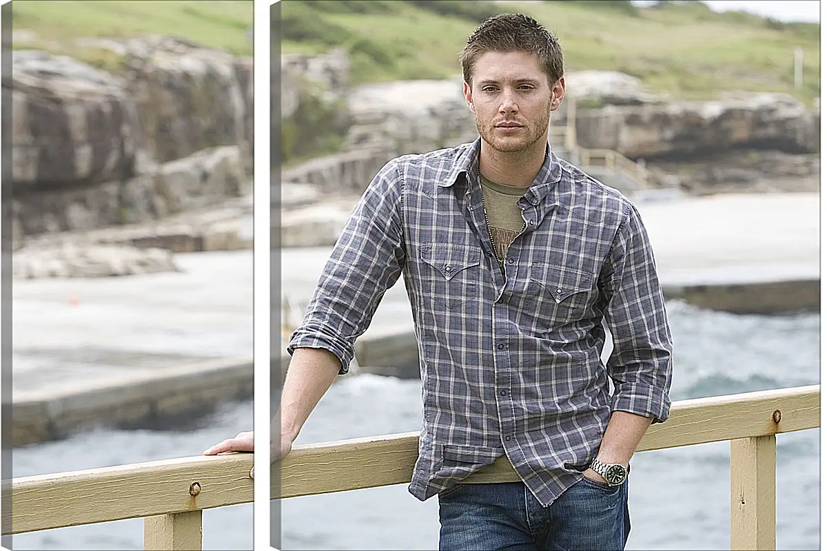 Модульная картина - Дженсен Эклс. Jensen Ackles