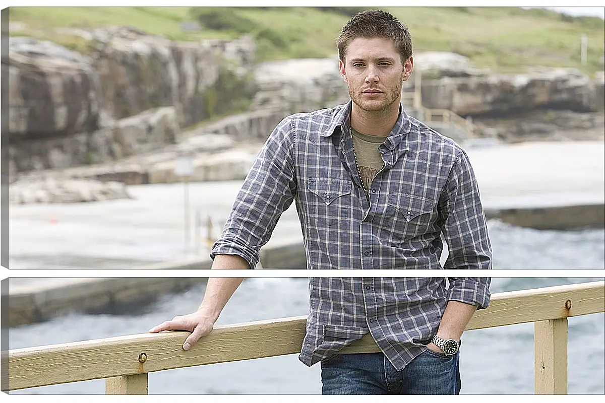 Модульная картина - Дженсен Эклс. Jensen Ackles