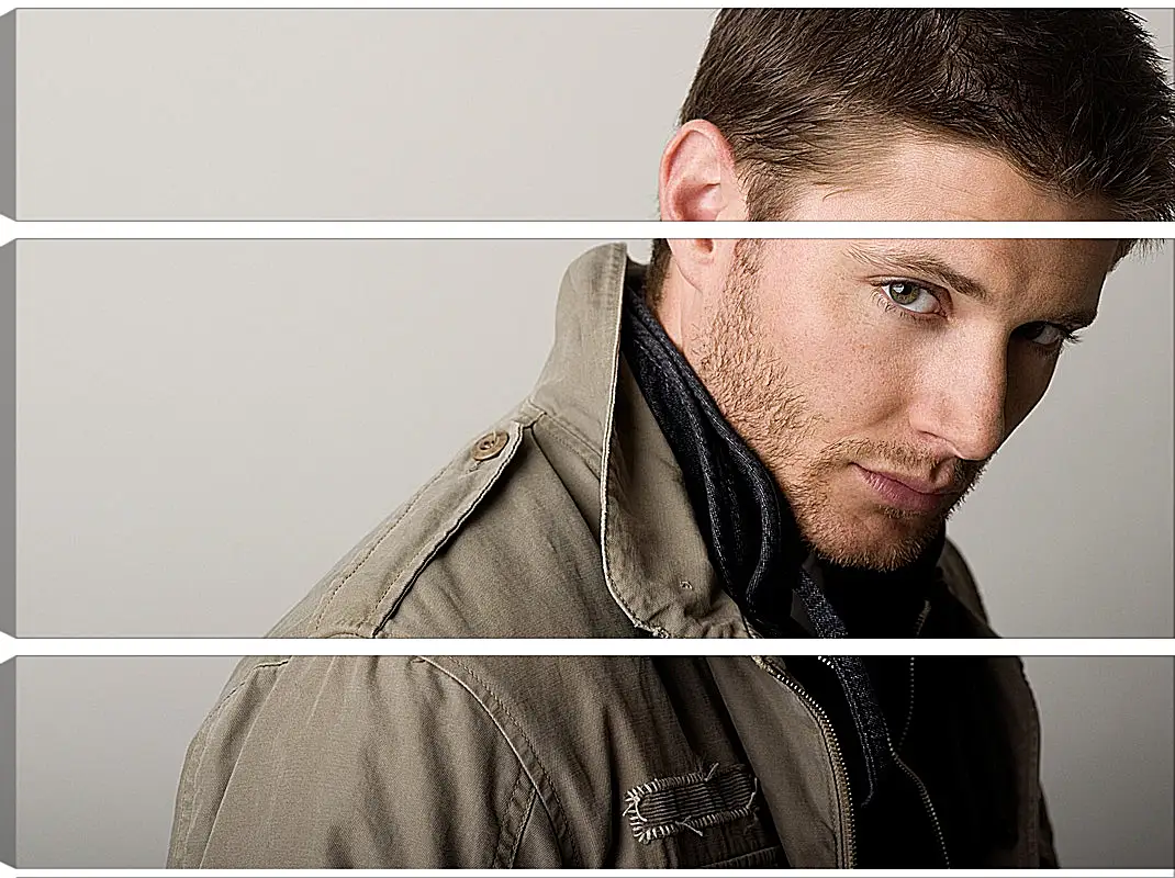 Модульная картина - Дженсен Эклс. Jensen Ackles