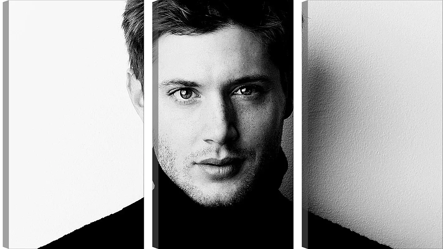 Модульная картина - Дженсен Эклс. Jensen Ackles