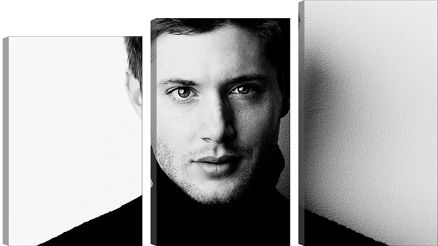 Модульная картина - Дженсен Эклс. Jensen Ackles