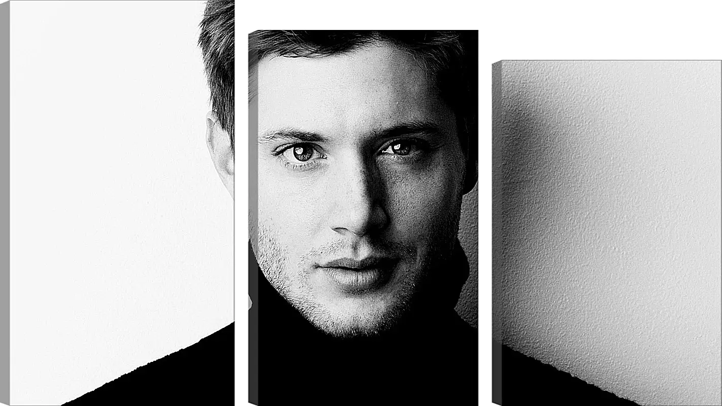 Модульная картина - Дженсен Эклс. Jensen Ackles