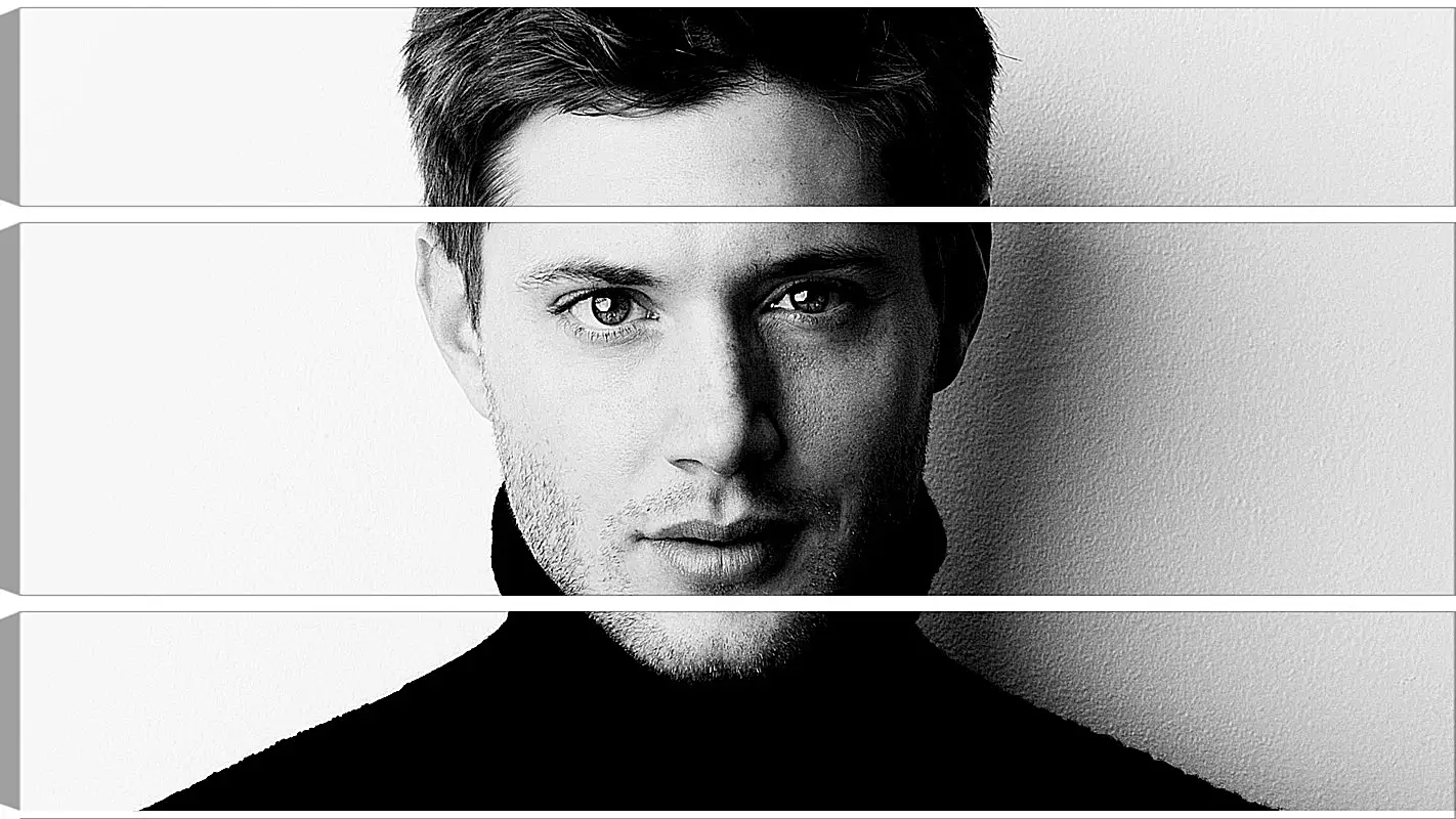 Модульная картина - Дженсен Эклс. Jensen Ackles