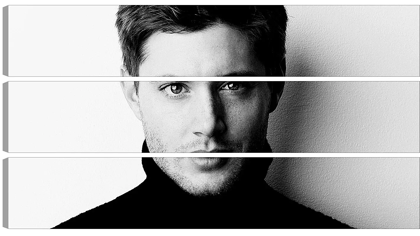 Модульная картина - Дженсен Эклс. Jensen Ackles