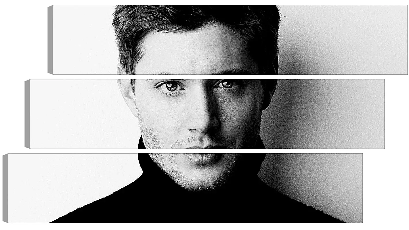 Модульная картина - Дженсен Эклс. Jensen Ackles