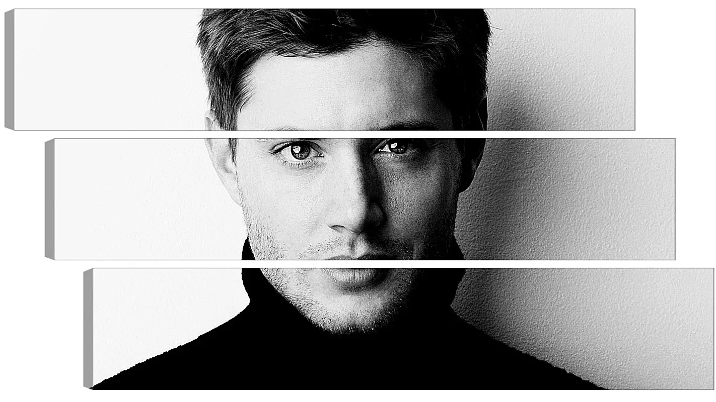 Модульная картина - Дженсен Эклс. Jensen Ackles