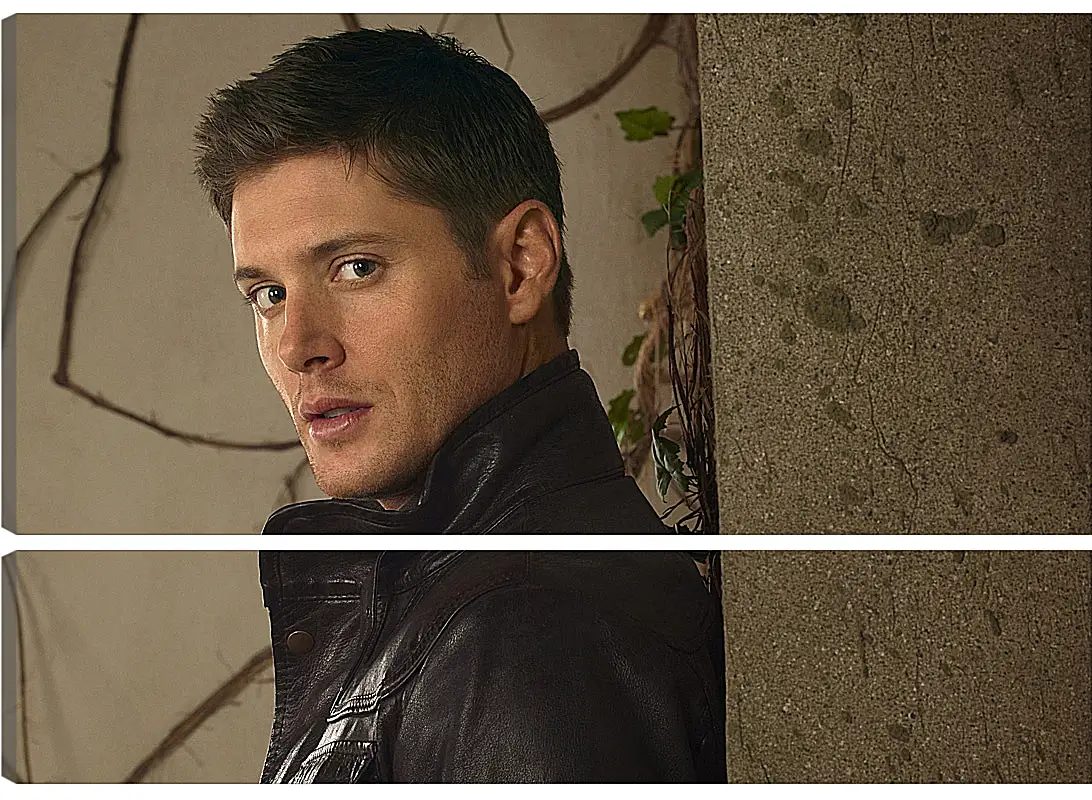 Модульная картина - Дженсен Эклс. Jensen Ackles