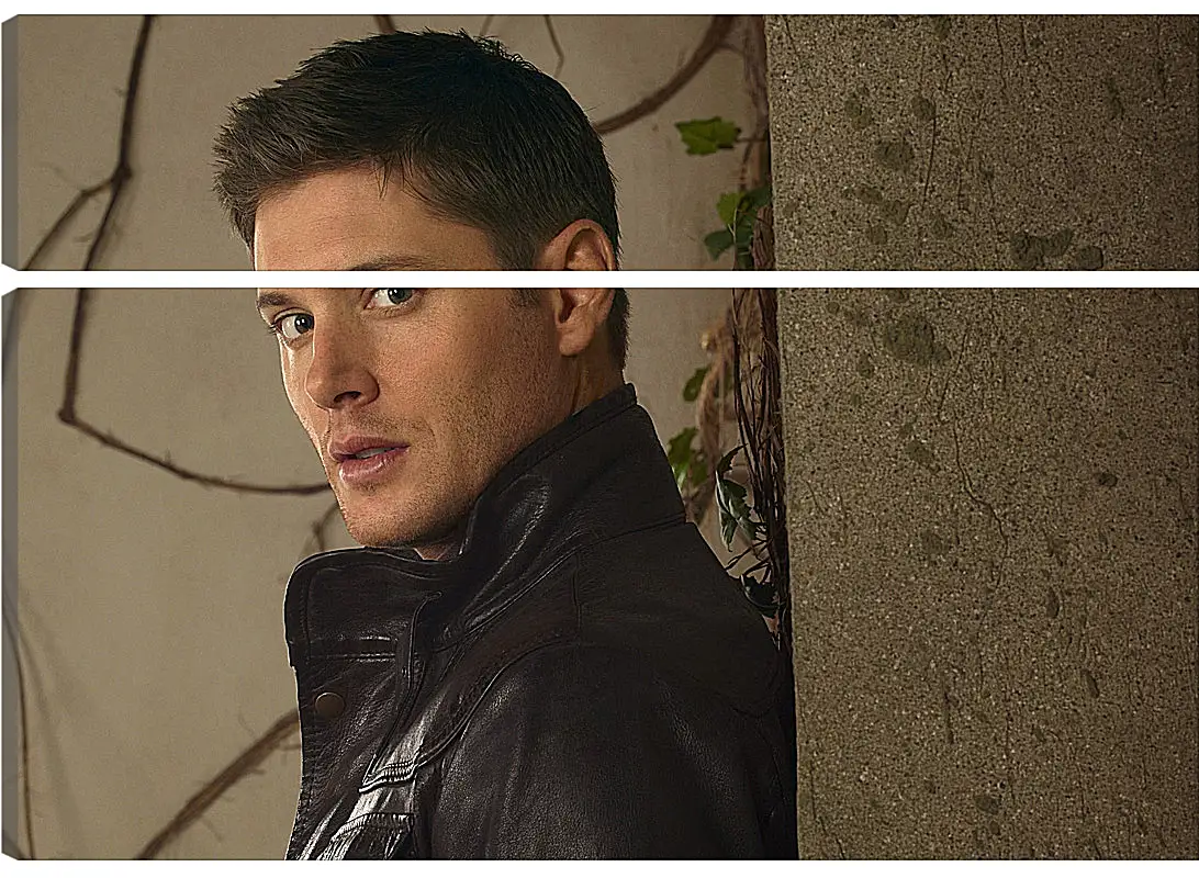 Модульная картина - Дженсен Эклс. Jensen Ackles