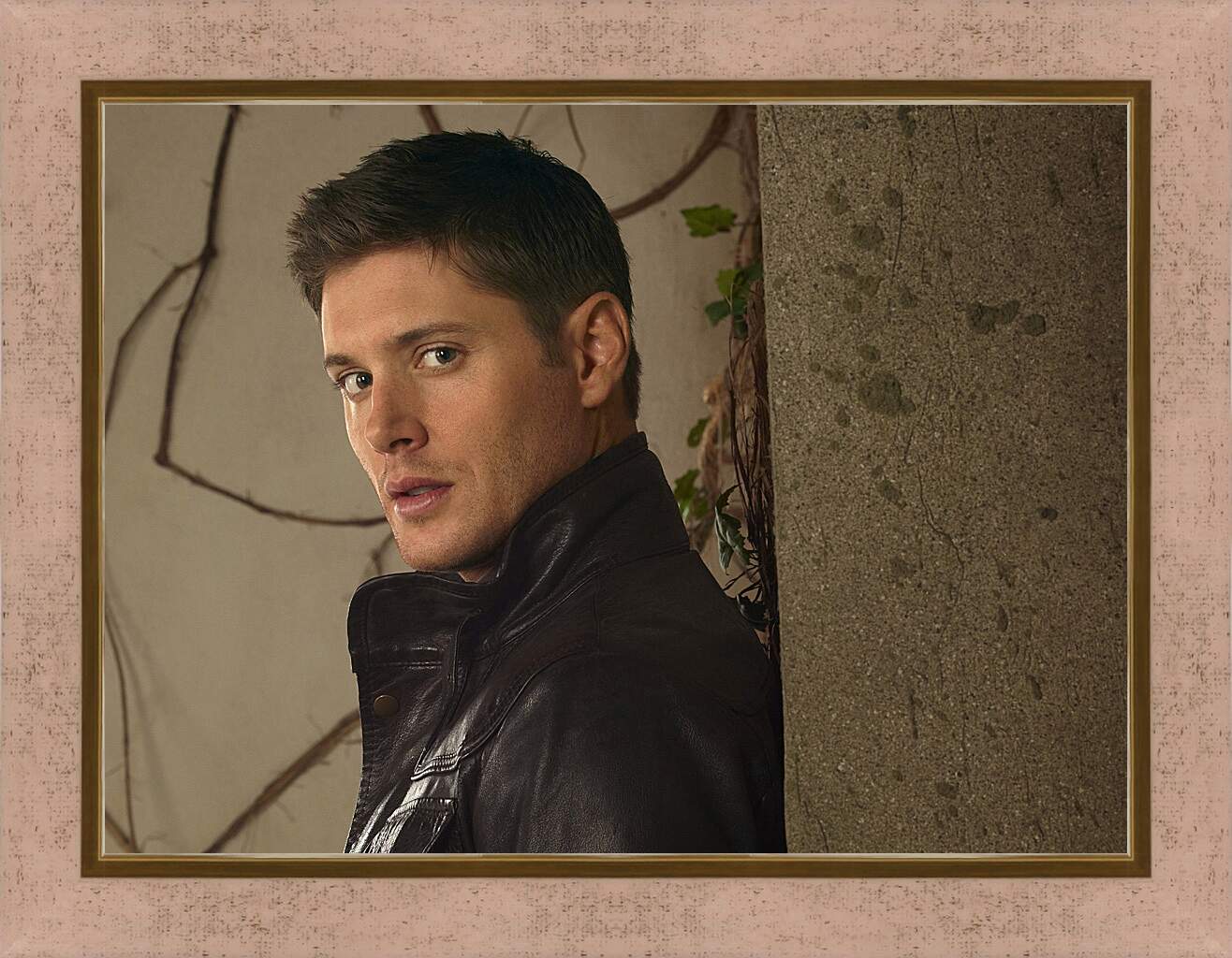 Картина в раме - Дженсен Эклс. Jensen Ackles