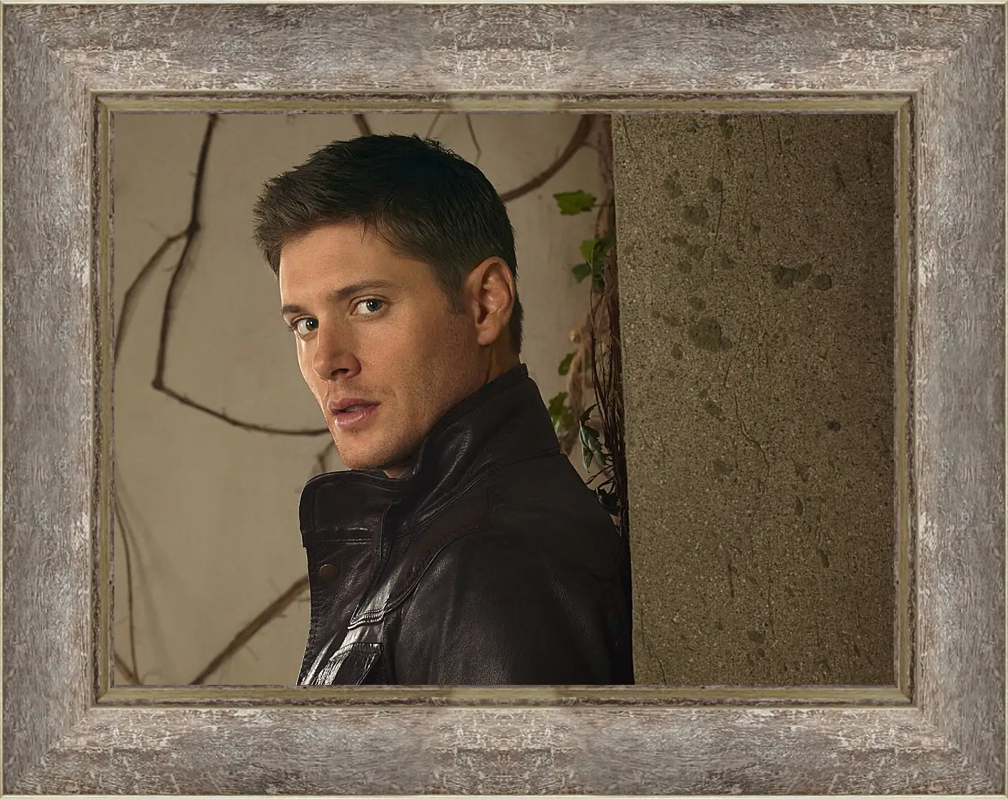 Картина в раме - Дженсен Эклс. Jensen Ackles