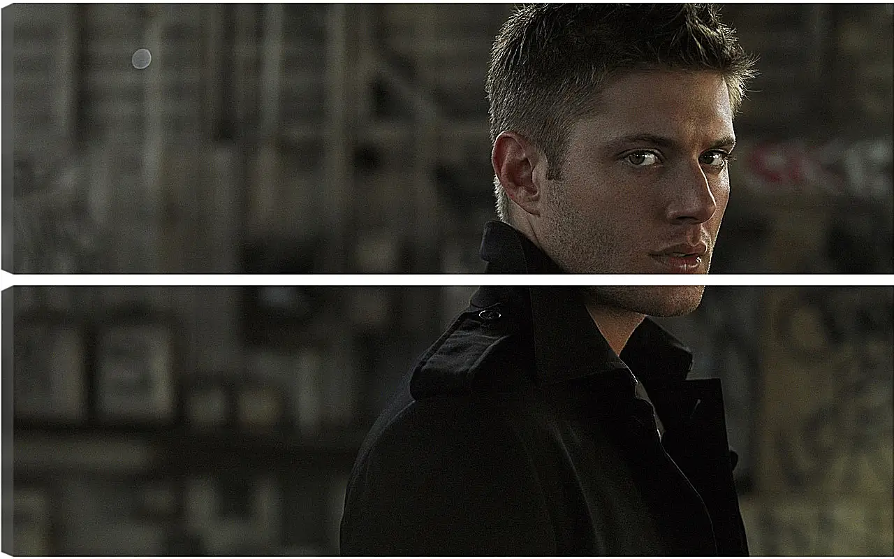 Модульная картина - Дженсен Эклс. Jensen Ackles