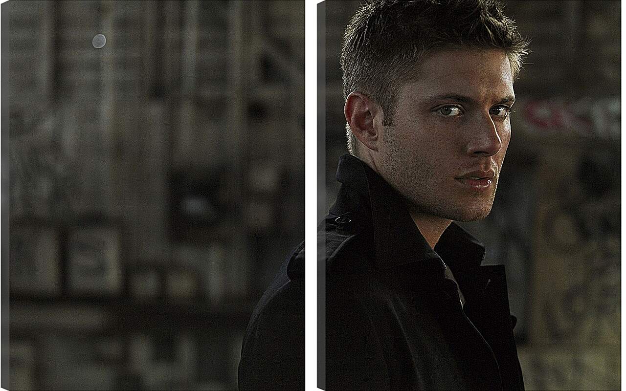 Модульная картина - Дженсен Эклс. Jensen Ackles