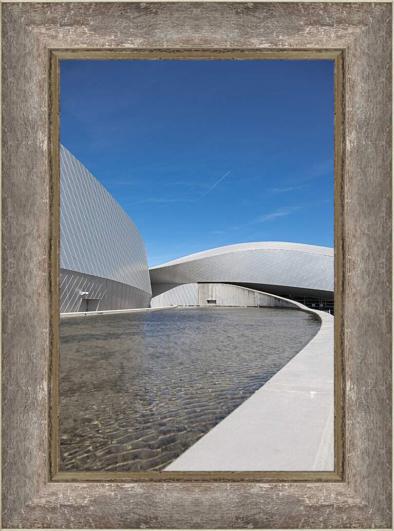 Картина в раме - Национальный аквариум Дании