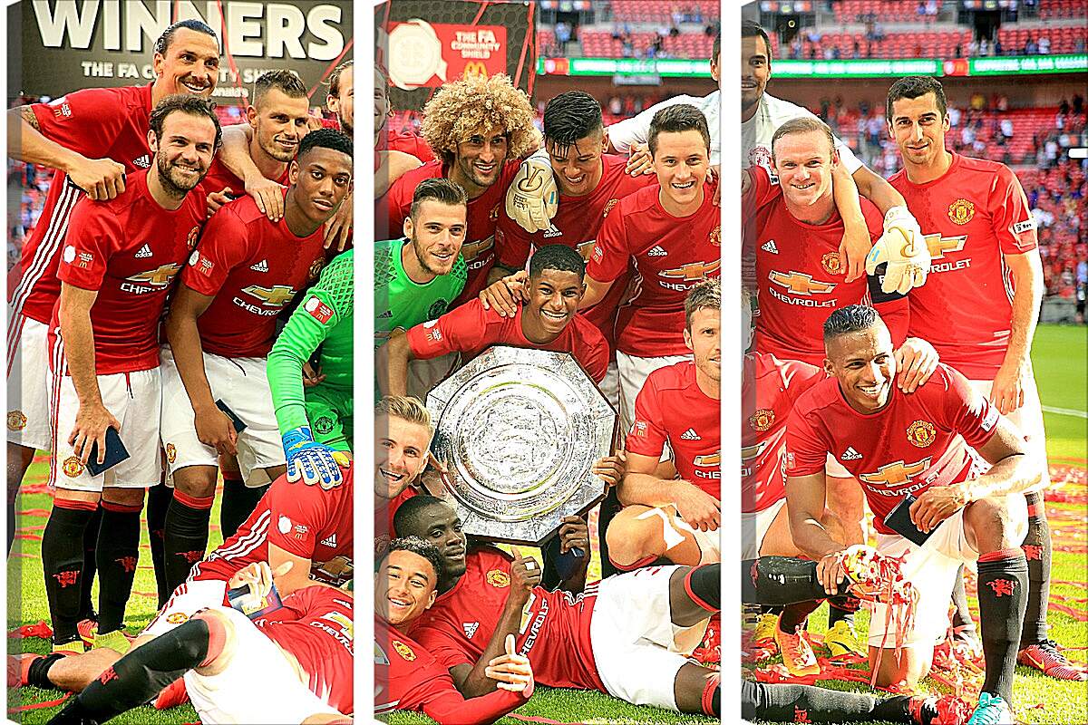 Модульная картина - Победа в суперкубке Англии. ФК Манчестер Юнайтед