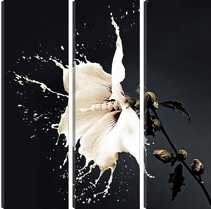 Модульная картина - Белый цветок с брызгами