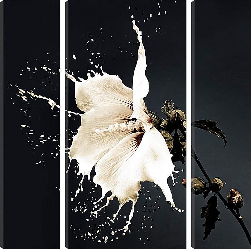 Модульная картина - Белый цветок с брызгами