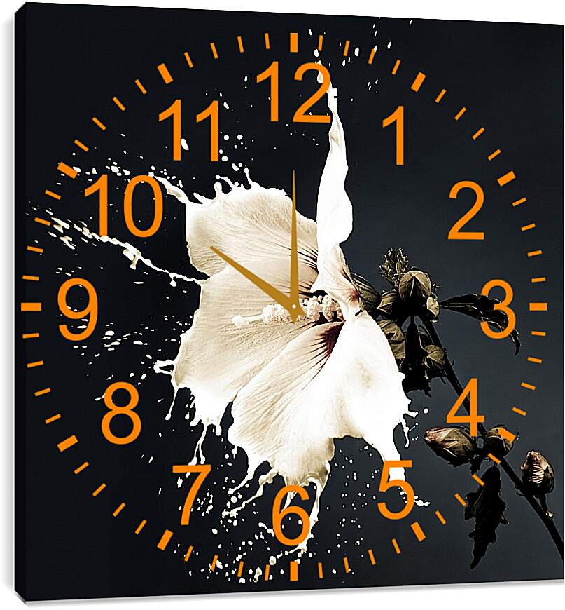 Часы картина - Белый цветок с брызгами