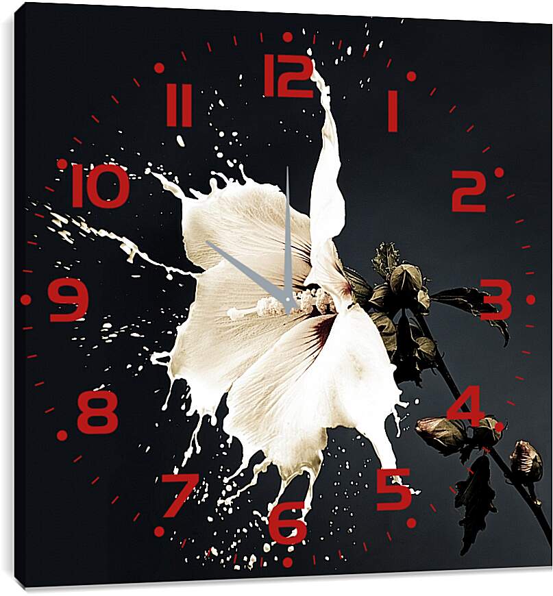Часы картина - Белый цветок с брызгами
