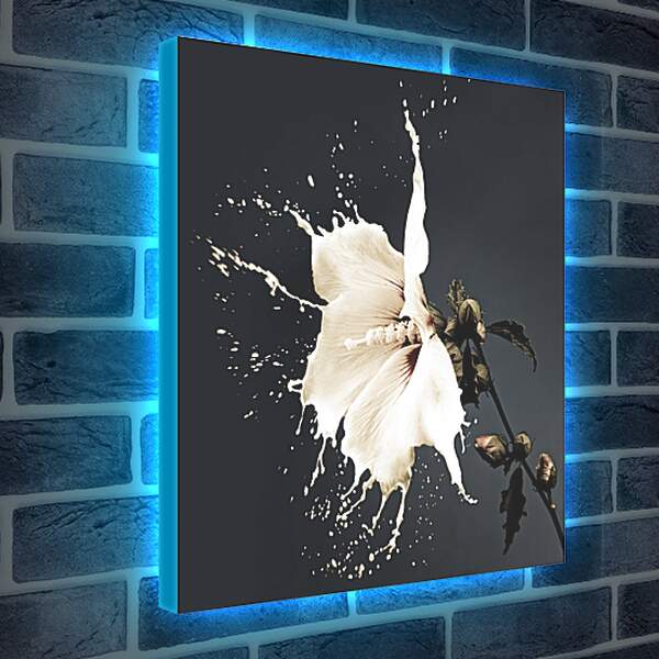 Лайтбокс световая панель - Белый цветок с брызгами