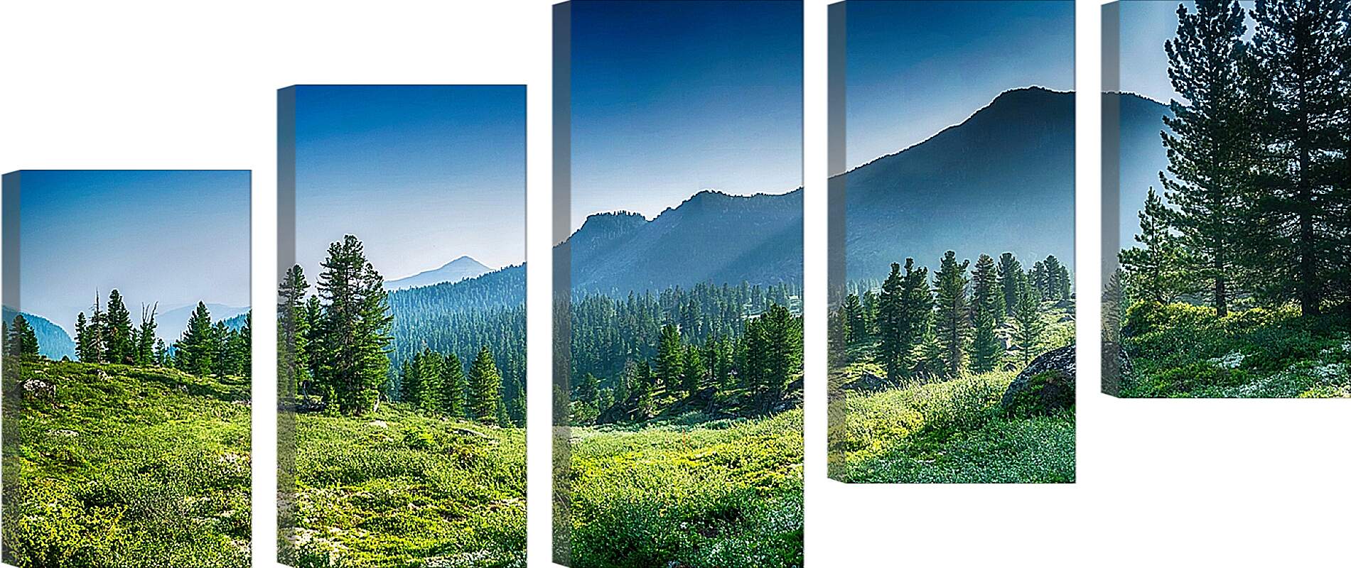 Модульная картина - Горы и лес