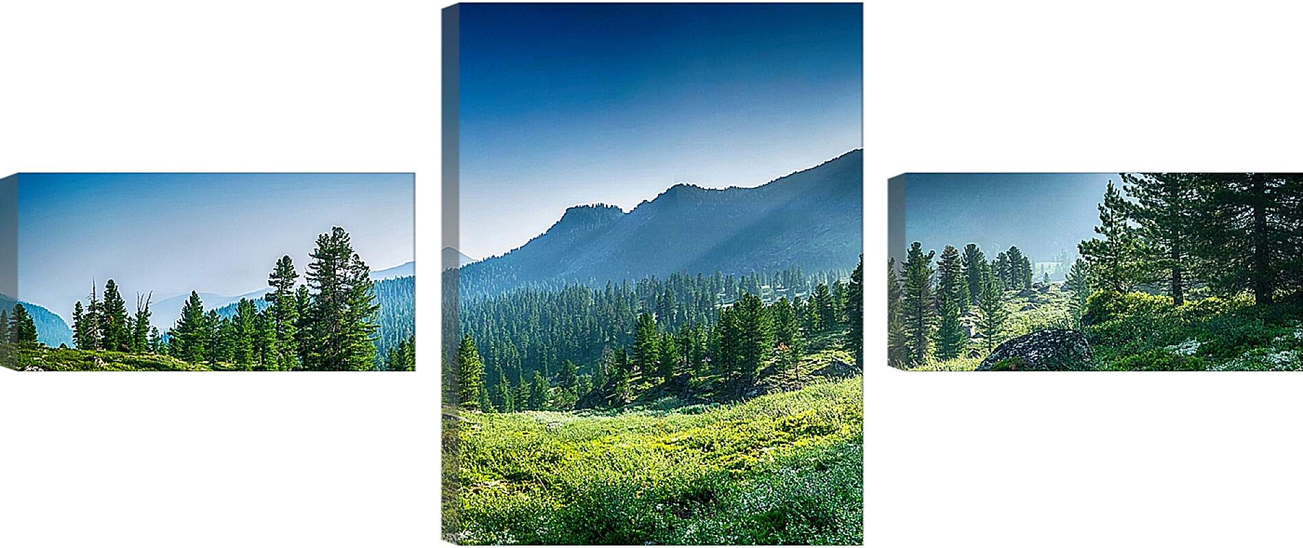Модульная картина - Горы и лес