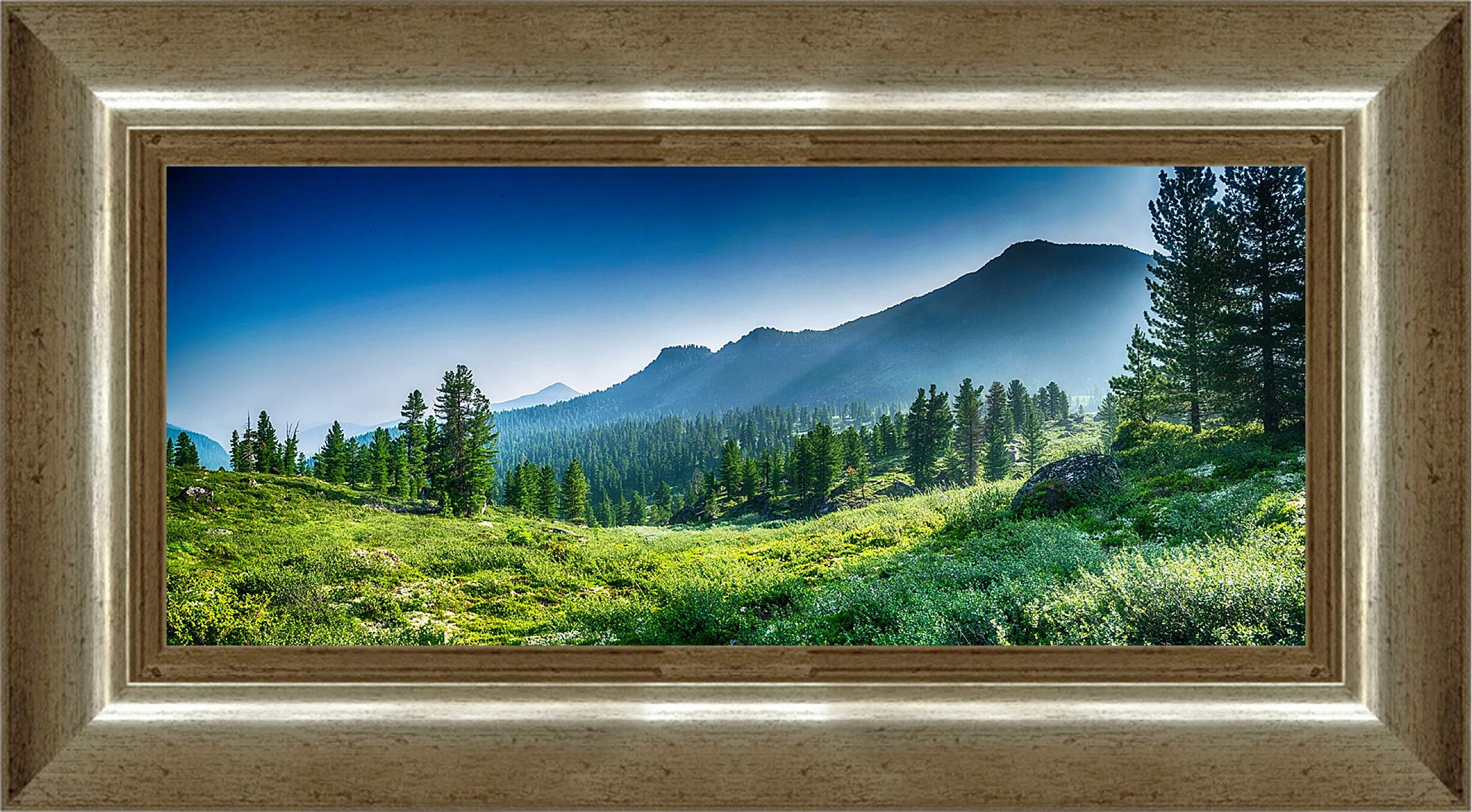 Картина в раме - Горы и лес
