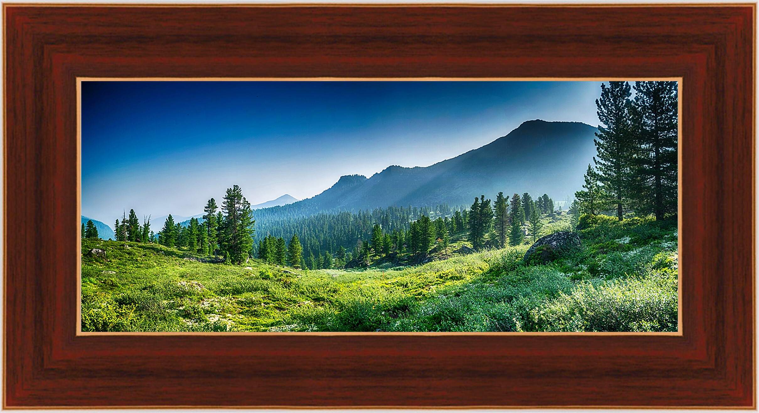 Картина в раме - Горы и лес